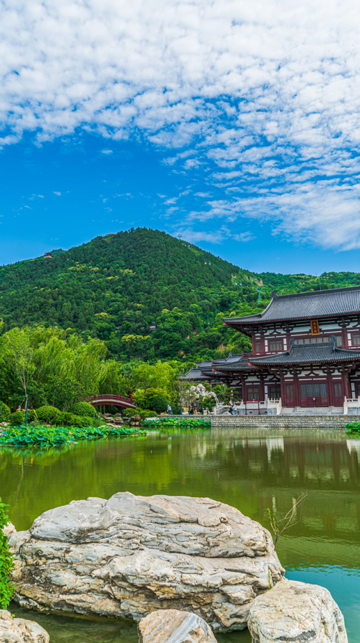 华清宫夏日消暑记丨用美图给你满屏的沁凉