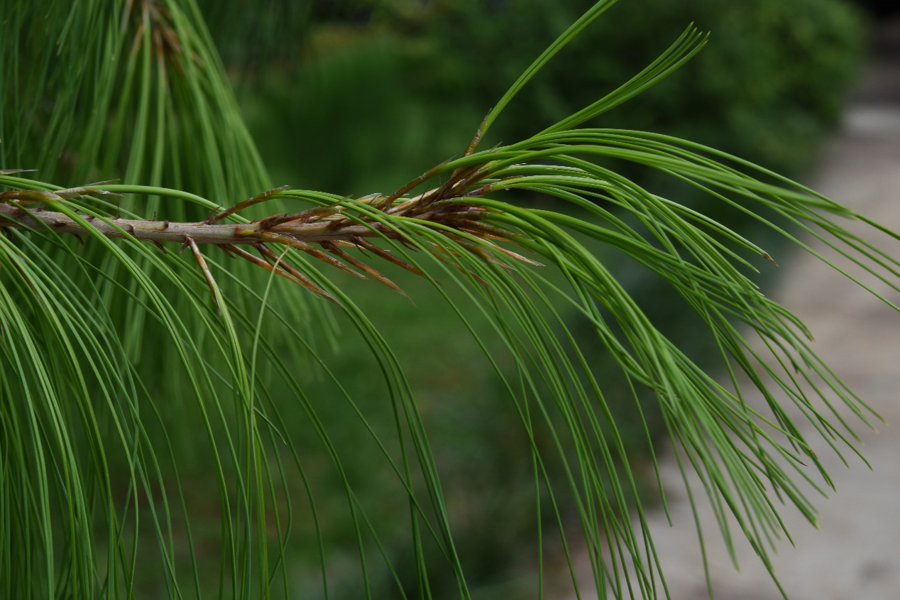1628728398217867.png 图片3.png
