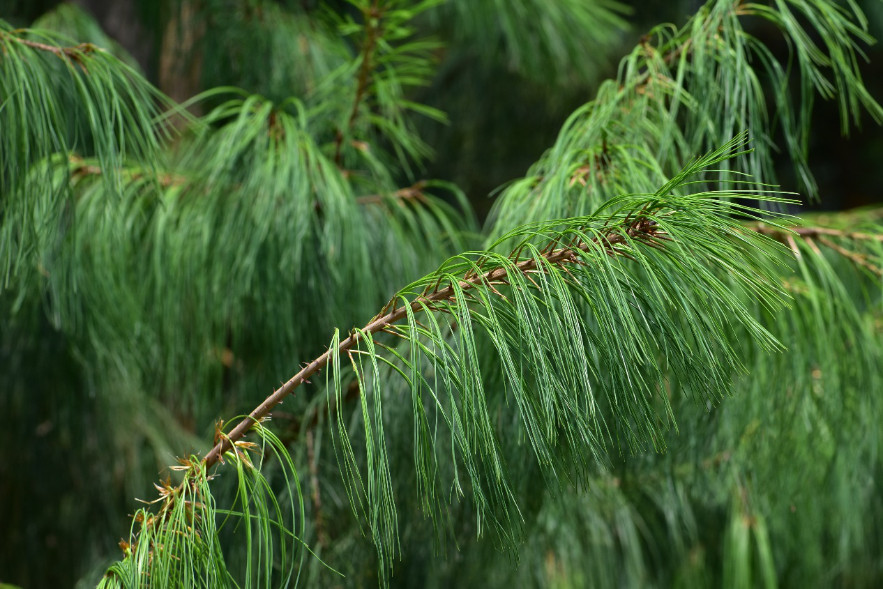 1628728443681412.png 图片5.png