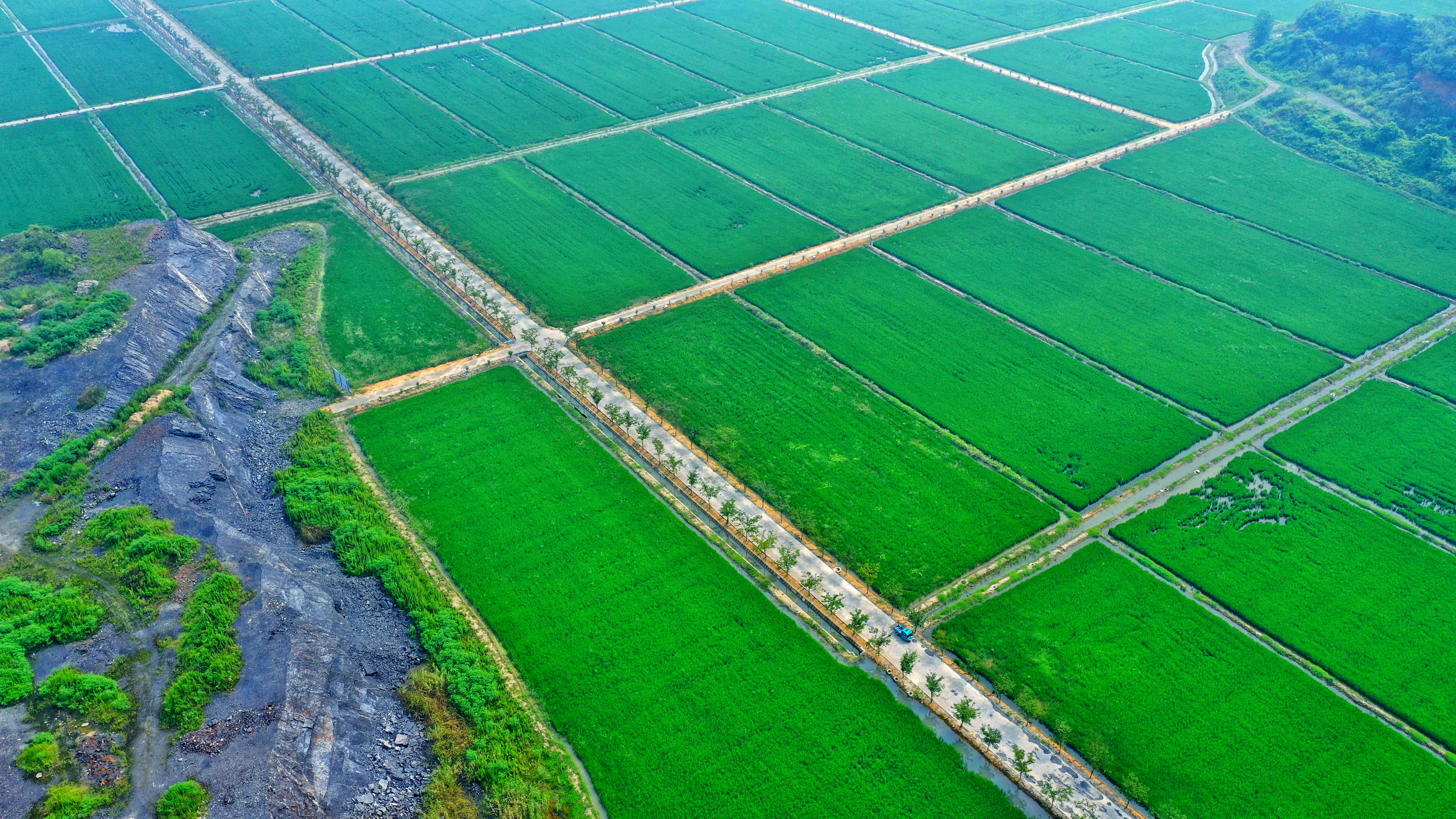 浙江德清复垦矿山变良田