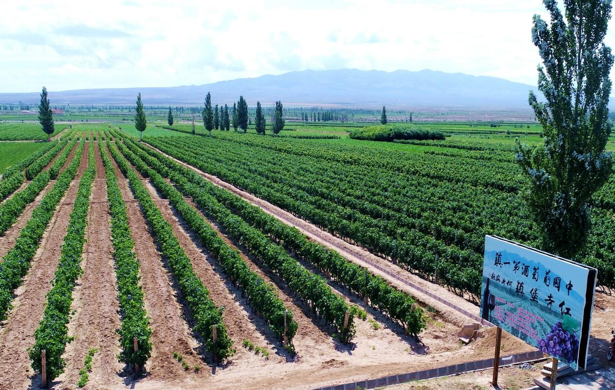 1629940028642191.png 图片3.png