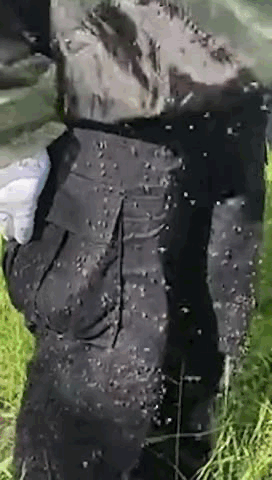 1630215557762194.gif 1.gif