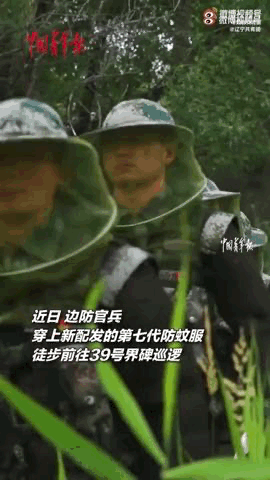 1630215575678400.gif 2.gif