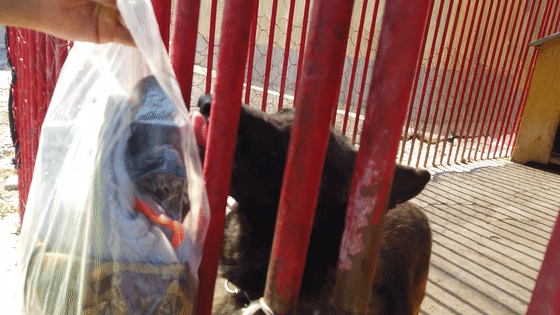 1630215699653370.gif 6.gif