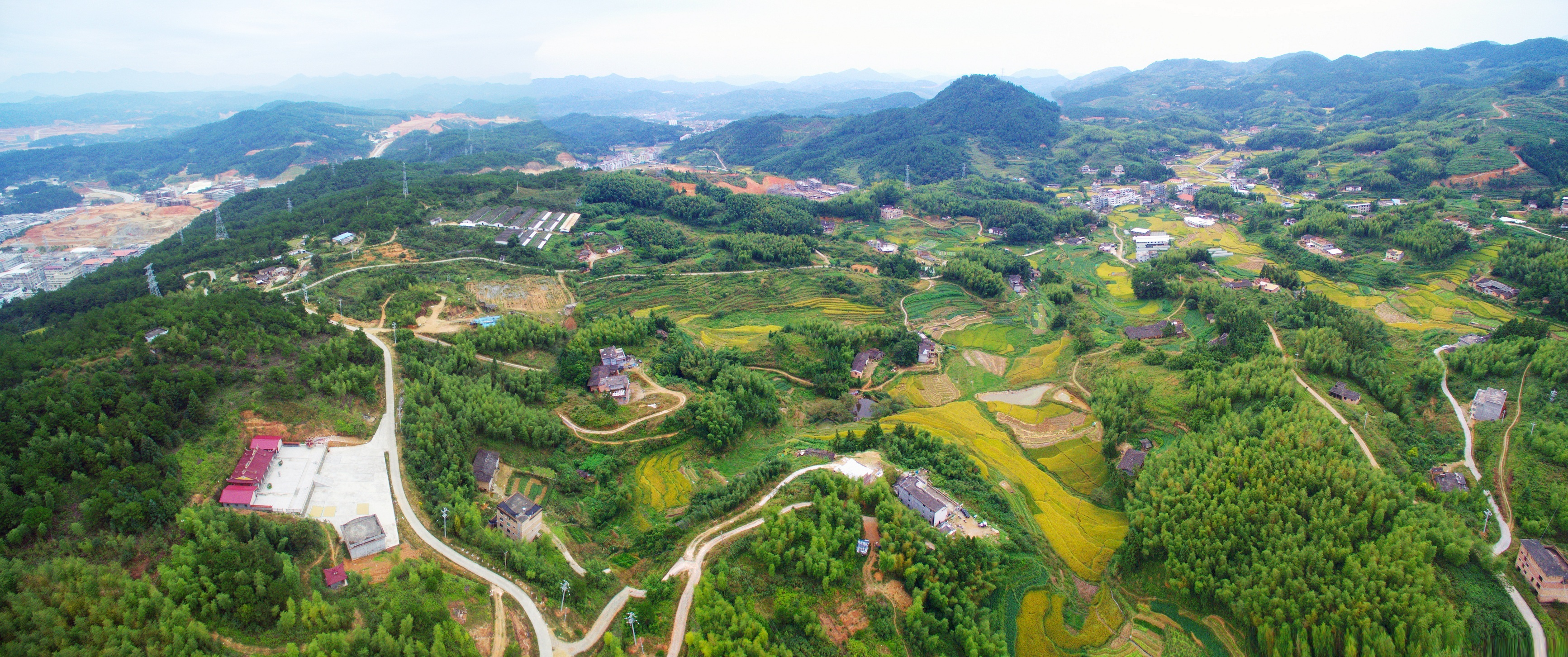 高阳村美丽乡村建设生机勃勃,绿意盎然下一阶段,龙浔镇将大力推进陶瓷