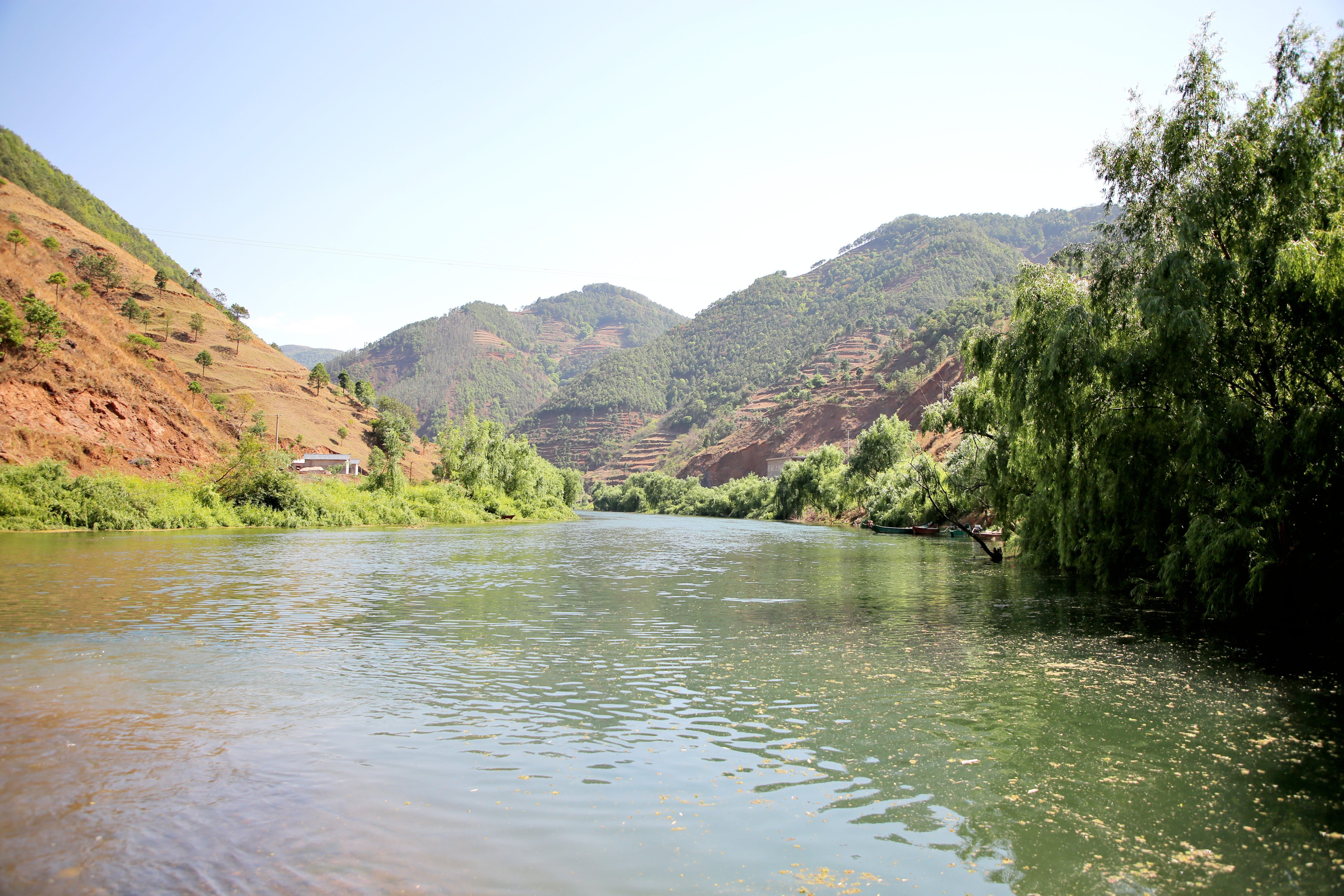 云南会泽:500万尾土著鱼回归牛栏江_云南法治网