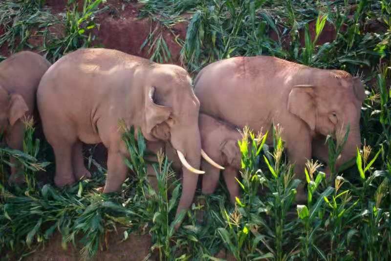 image.png?x-oss-process=style/w10