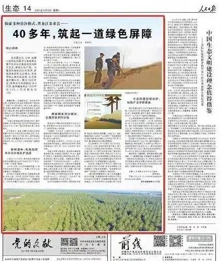 人民日报看龙江 探索多种治沙模式 黑龙江泰来县 40多年 筑起一道绿色屏障