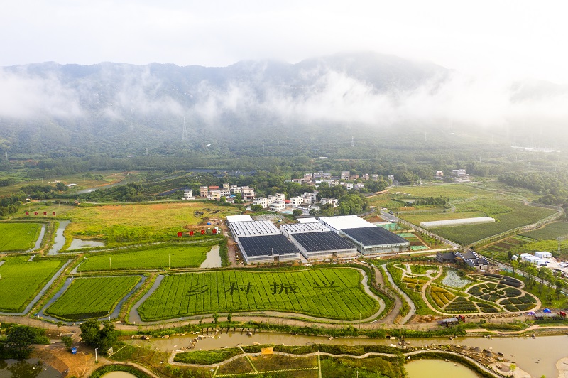 1631190202945819.jpg 5c7cffa8f9ba2d9cdecbb5c154b996f.jpg