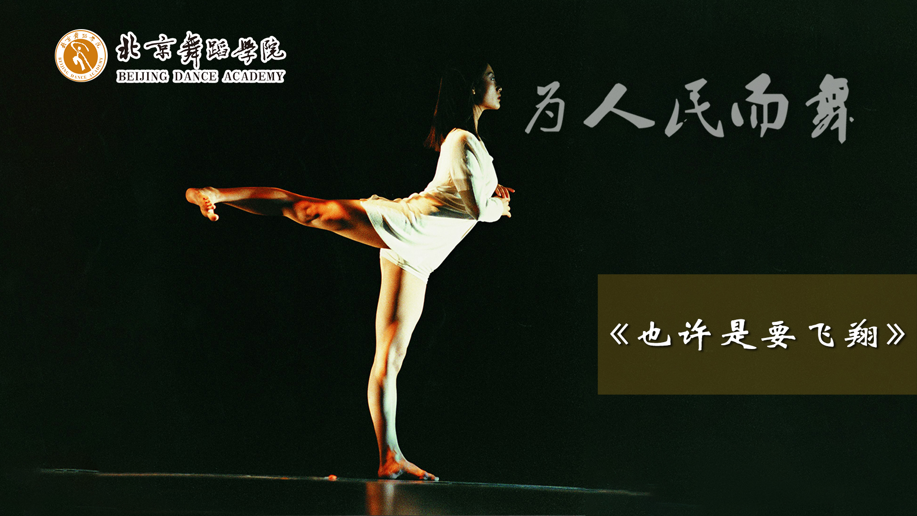 北舞庆祝建党百年百部作品展播也许是要飞翔王玫