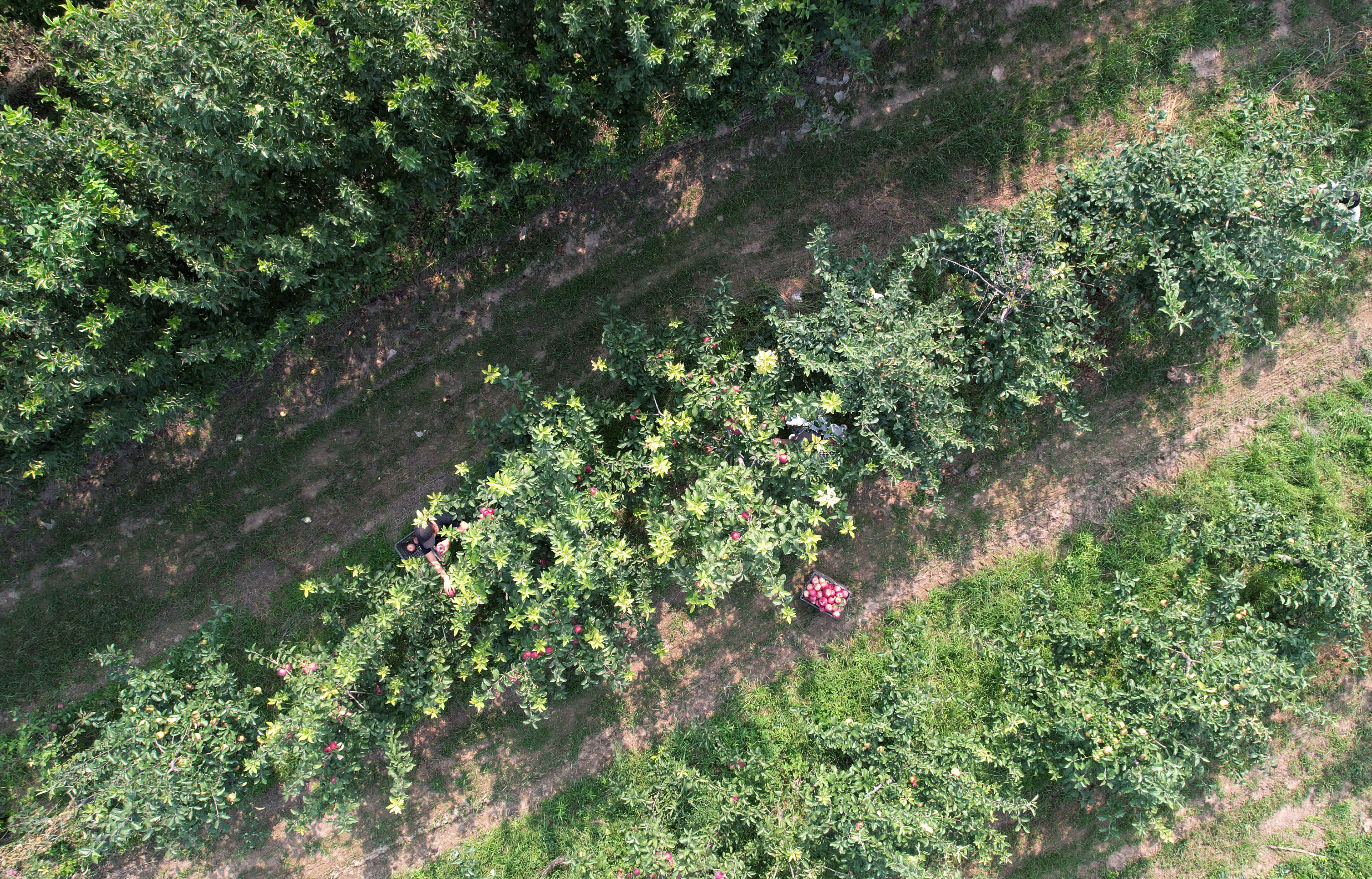 1631889960128261.jpg?x-oss-process=style/w10