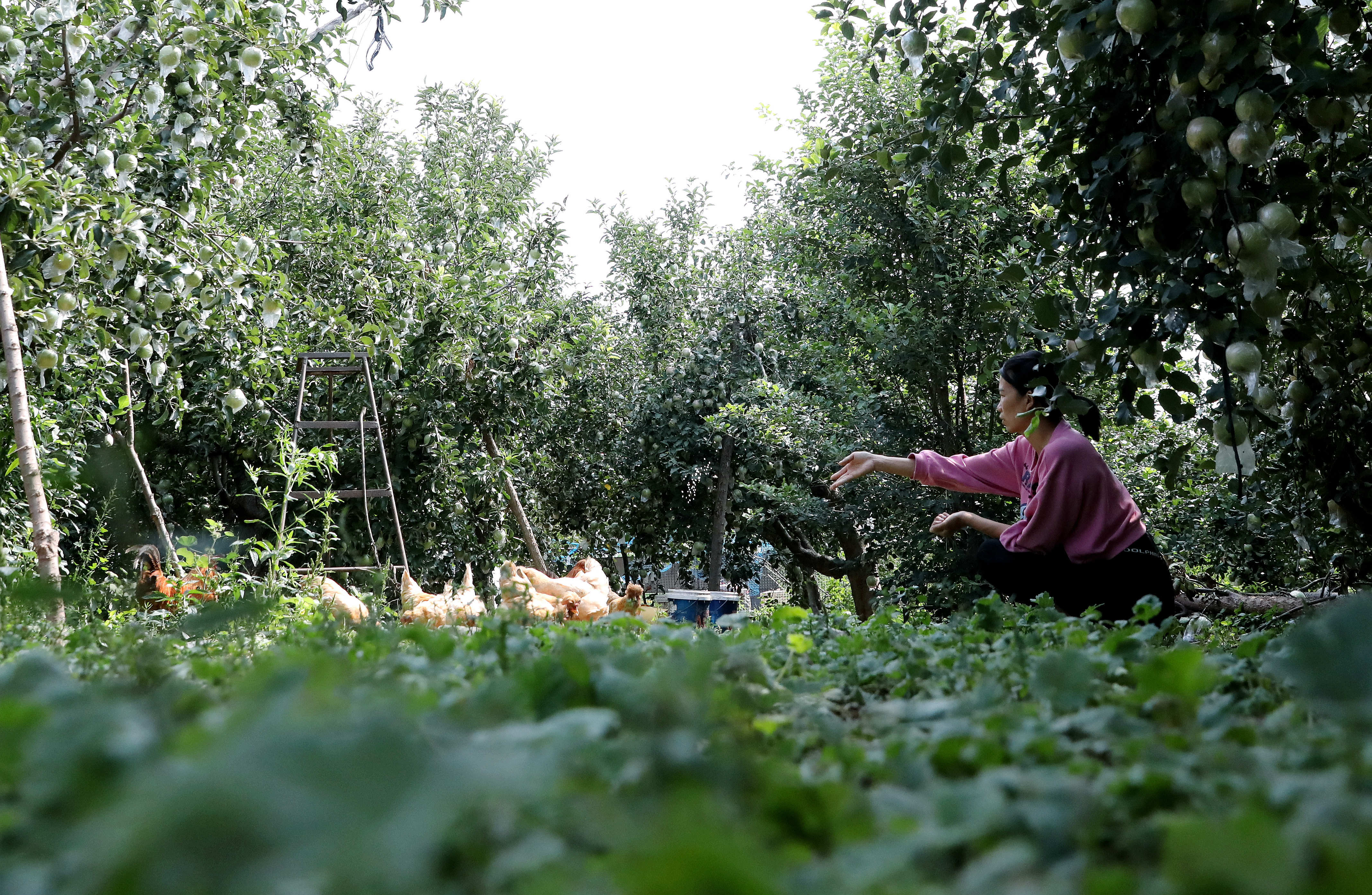 1631889987497205.jpg?x-oss-process=style/w10