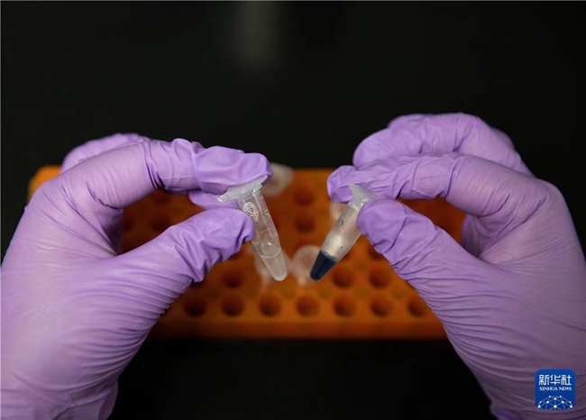 1632539806534496.jpg 01.jpg