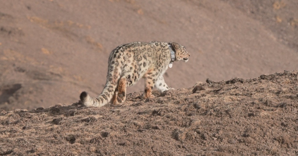 222.png?x-oss-process=style/w10