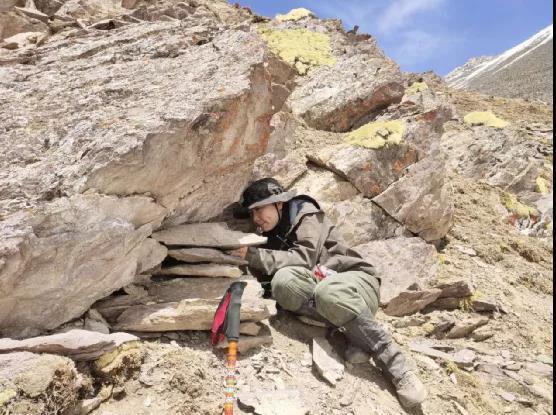 5.jpg?x-oss-process=style/w10