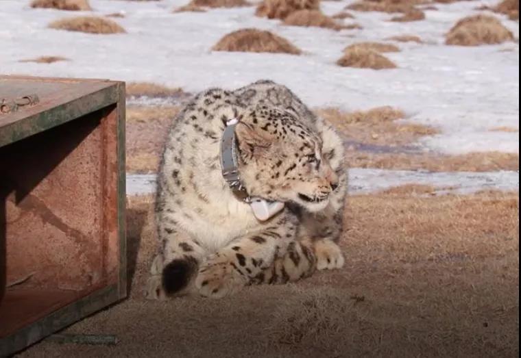 7.jpg?x-oss-process=style/w10