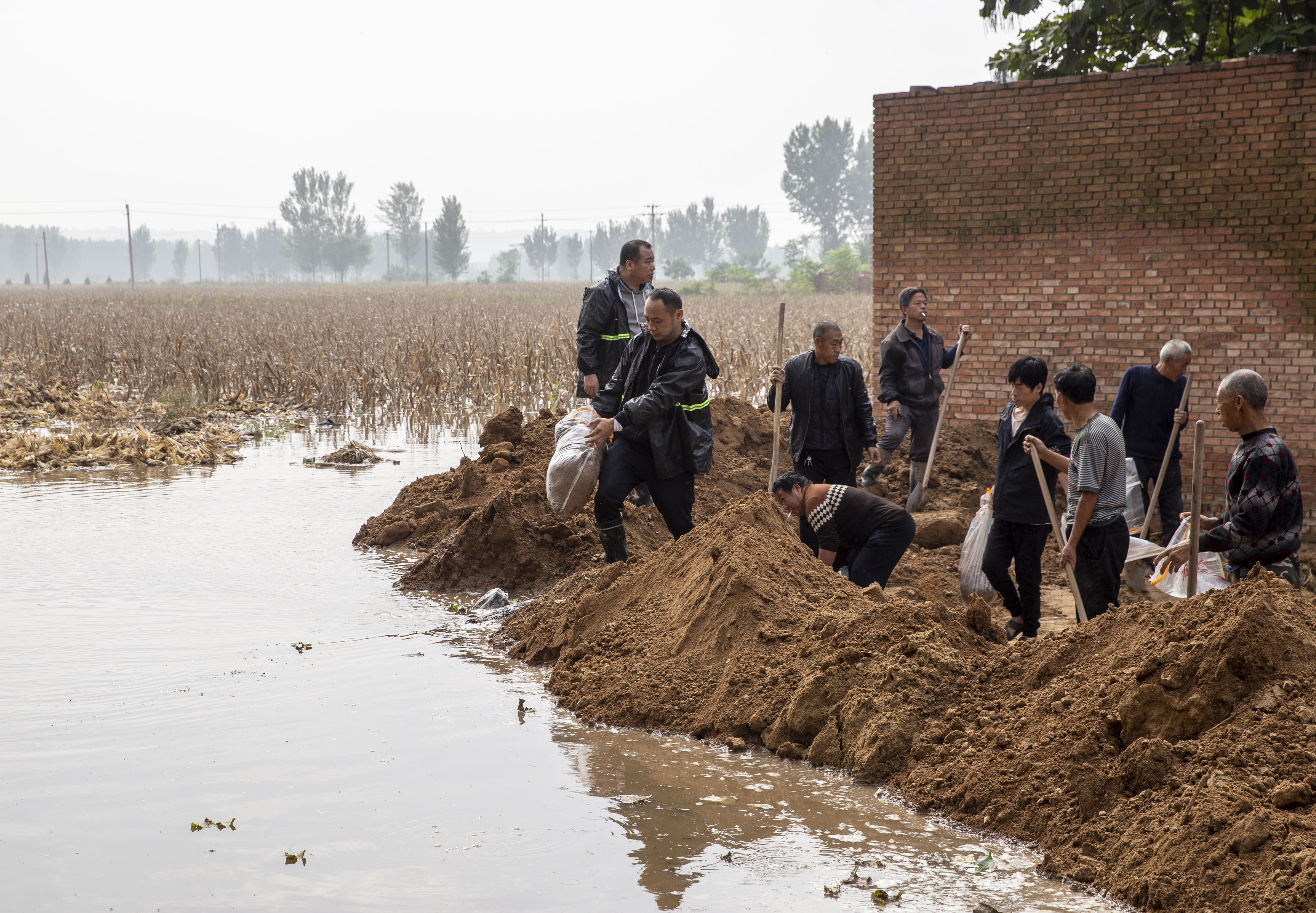 1633612268354794.jpg?x-oss-process=style/w10 微信图片_20211007210537.jpg?x-oss-process=style/w10