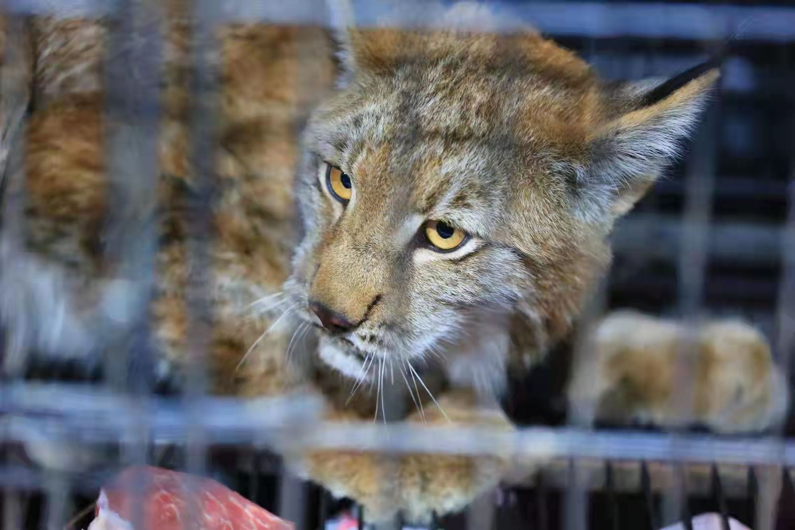 1633876186185787.png image.png