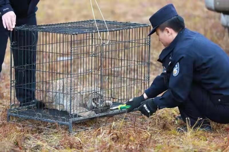 1633876112310918.png image.png