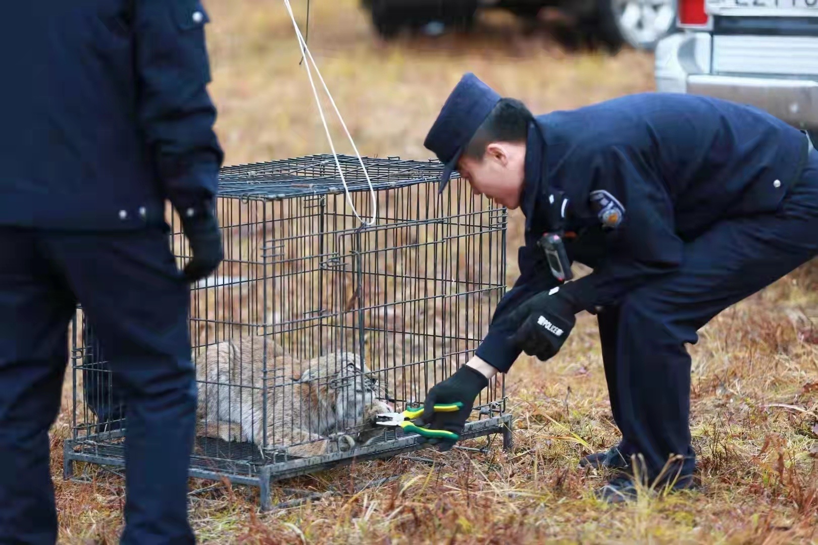 1633876162933355.png image.png