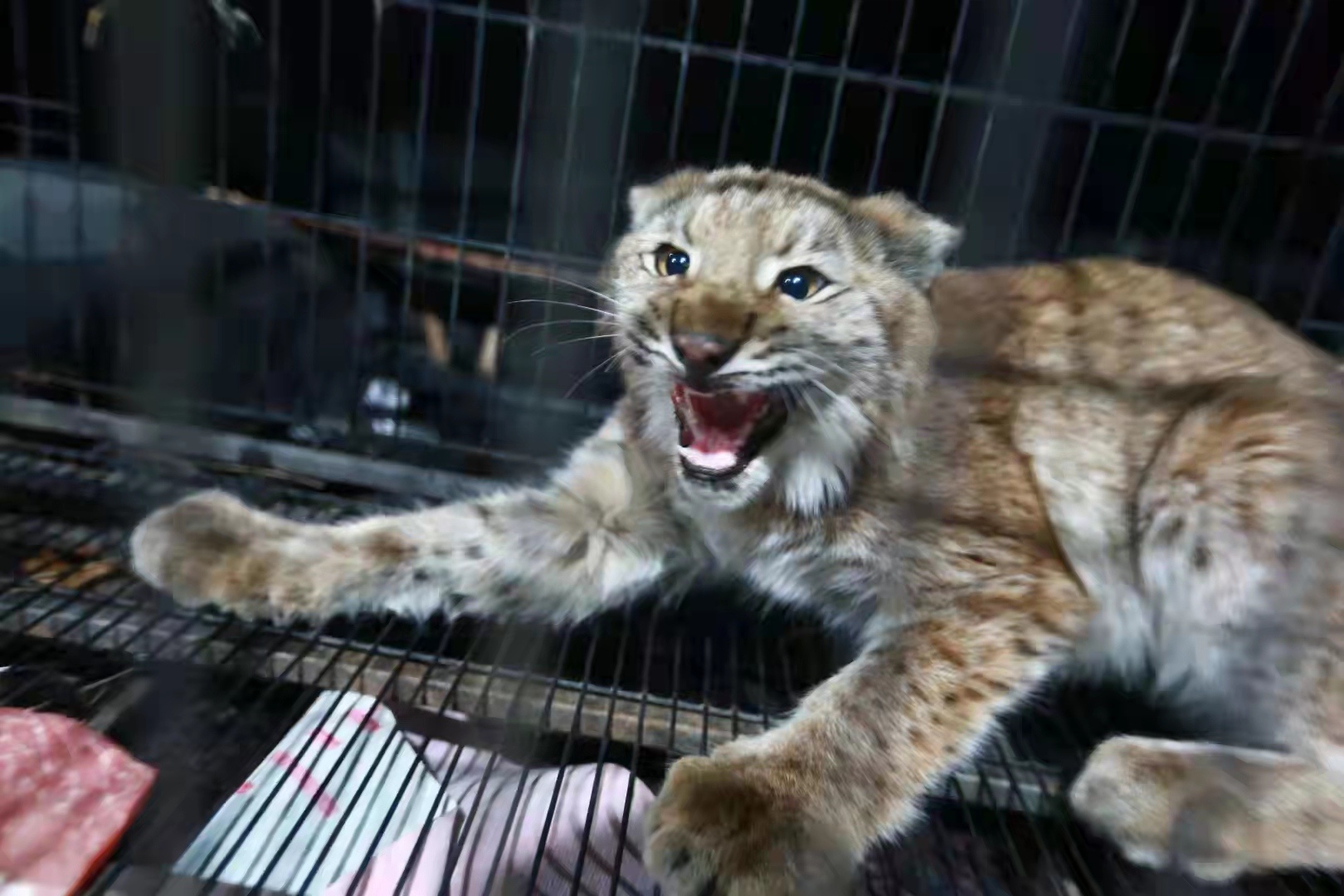 1633876171732378.png image.png