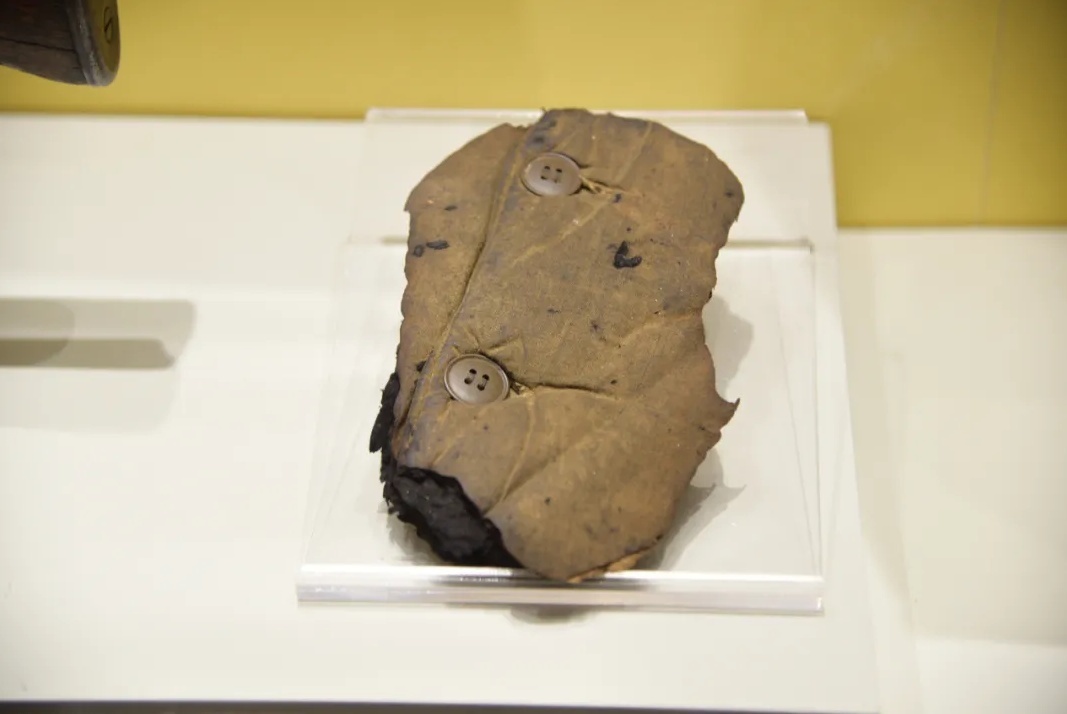 image.png?x-oss-process=style/w10