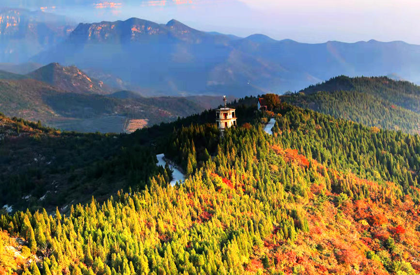 秦杨摄金秋十月,秋意正浓,又是一年红叶烂漫,柏尖山邀您登山赏叶