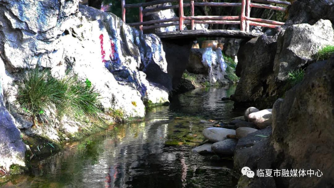 1634467637224415.jpg 3.jpg