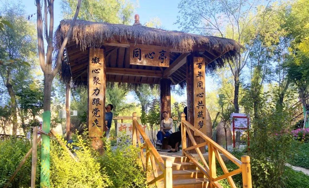 1634467655645033.jpg 4.jpg