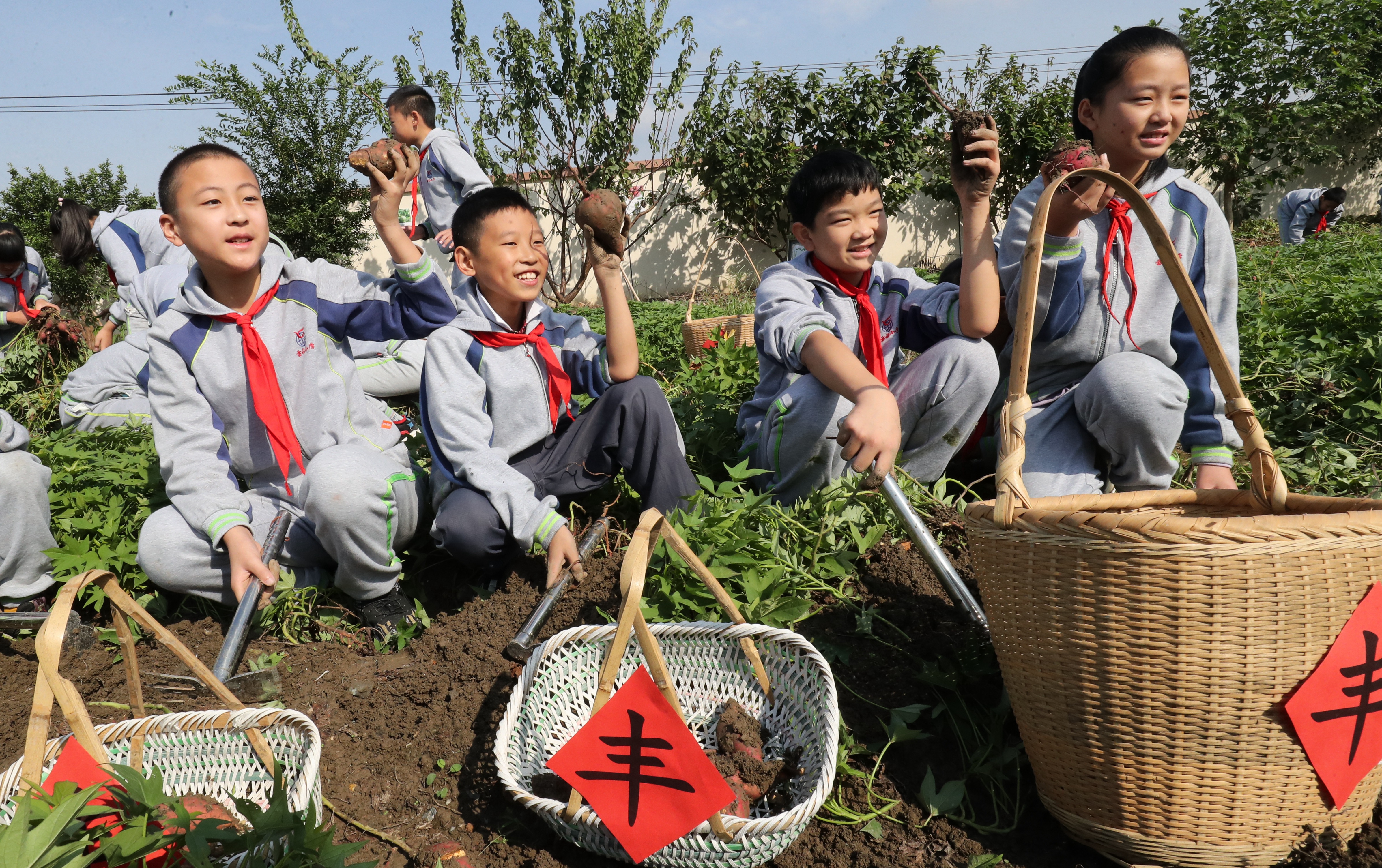 浙江湖州校园农场丰收乐享农耕乐趣