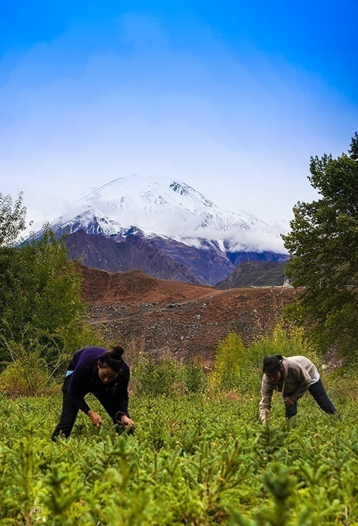 1635689443914049.png WechatIMG1480.png