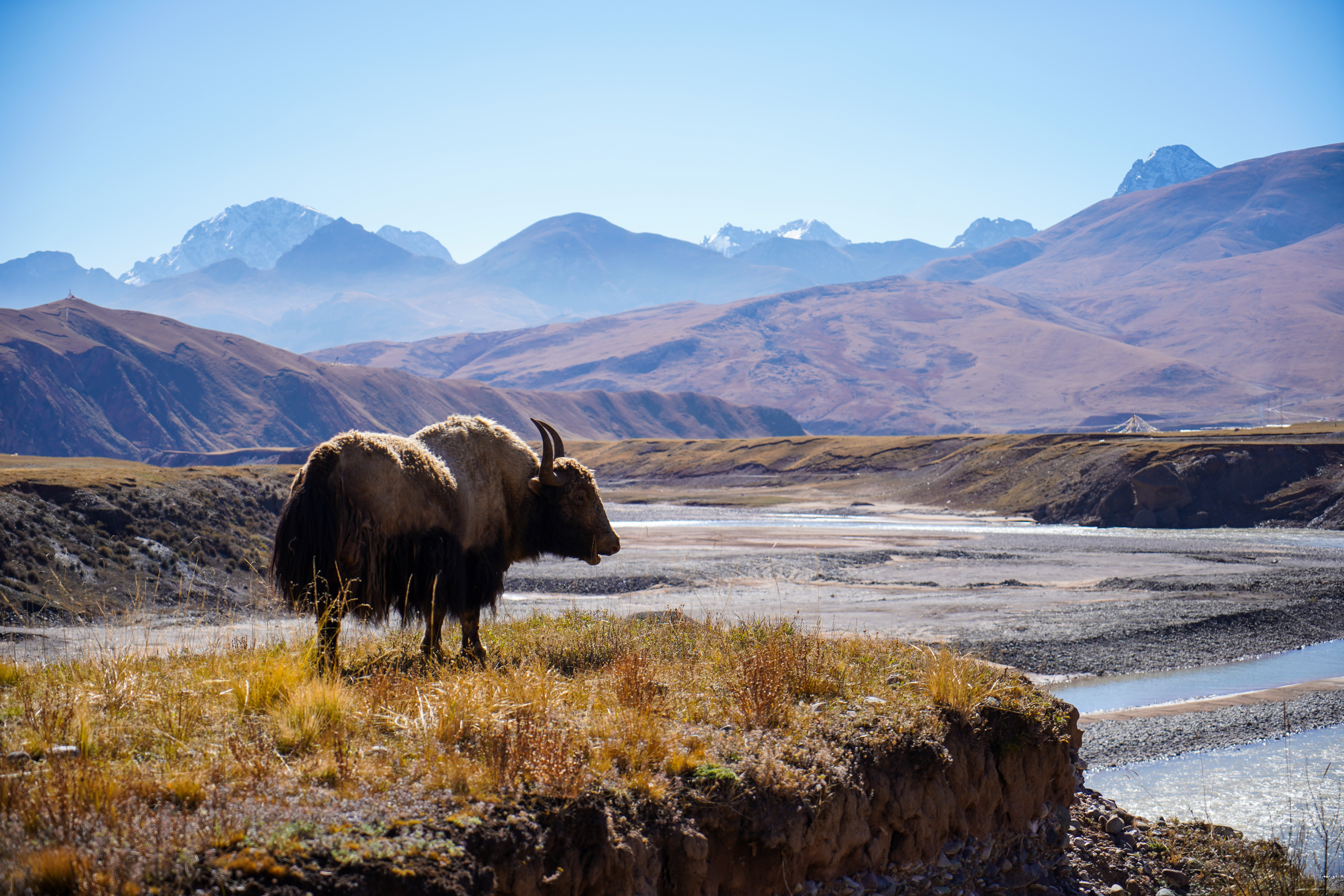 1635689853792036.jpeg WechatIMG1486.jpeg