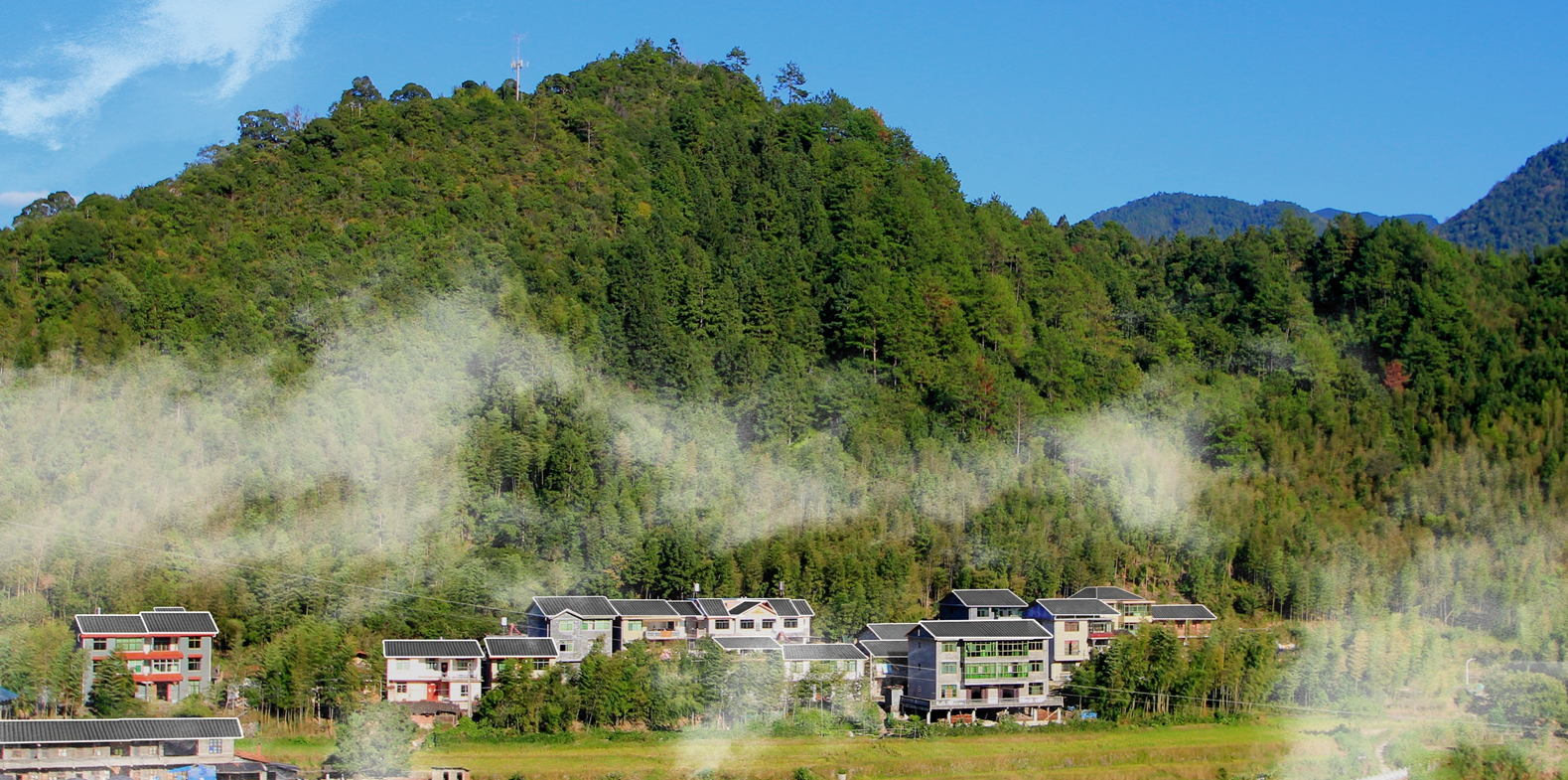 1635961596936804.jpg 溪源村改造后的农房清雅别致,秀美如画.jpg