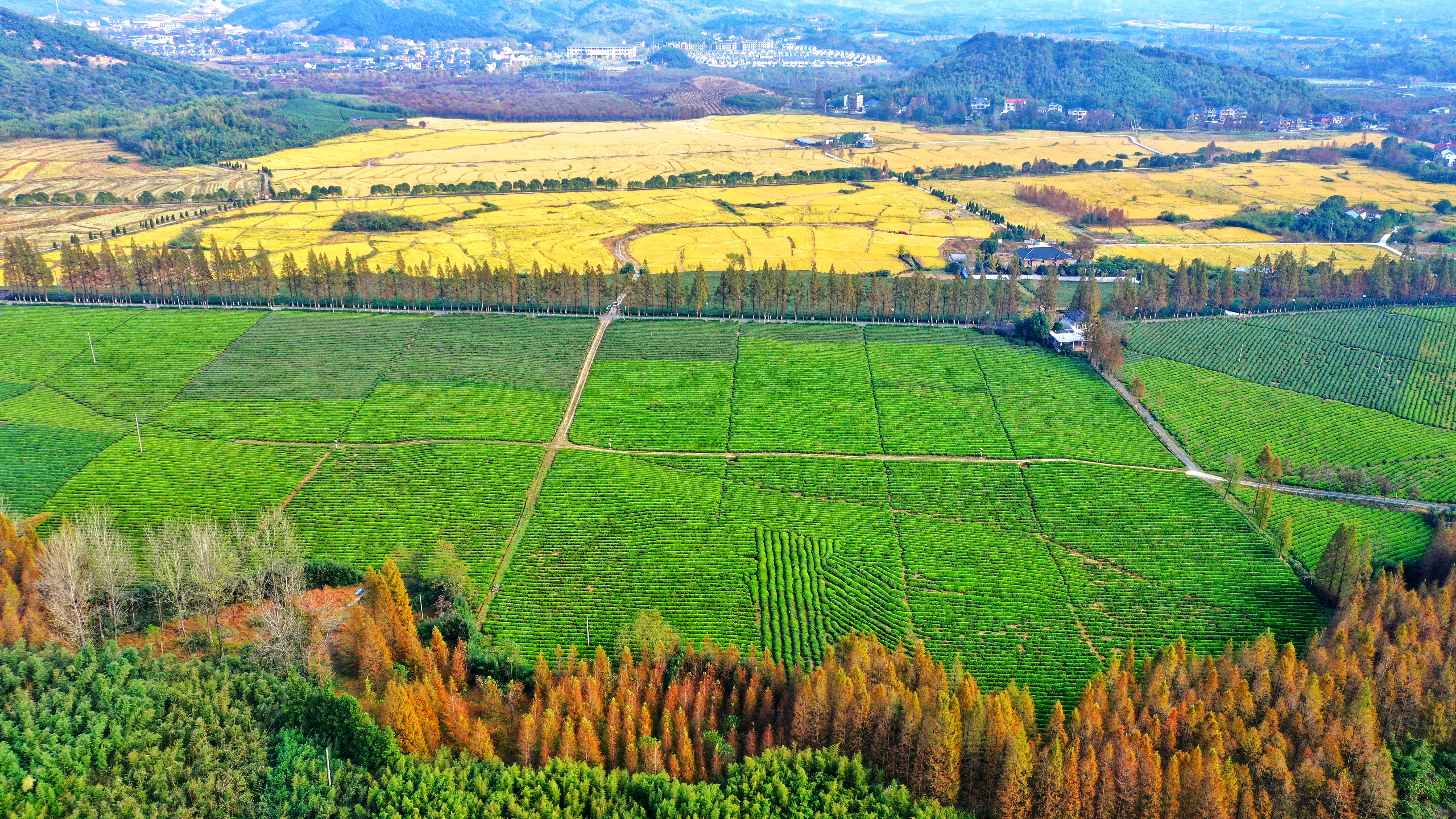 浙江湖州乡村秋色如画