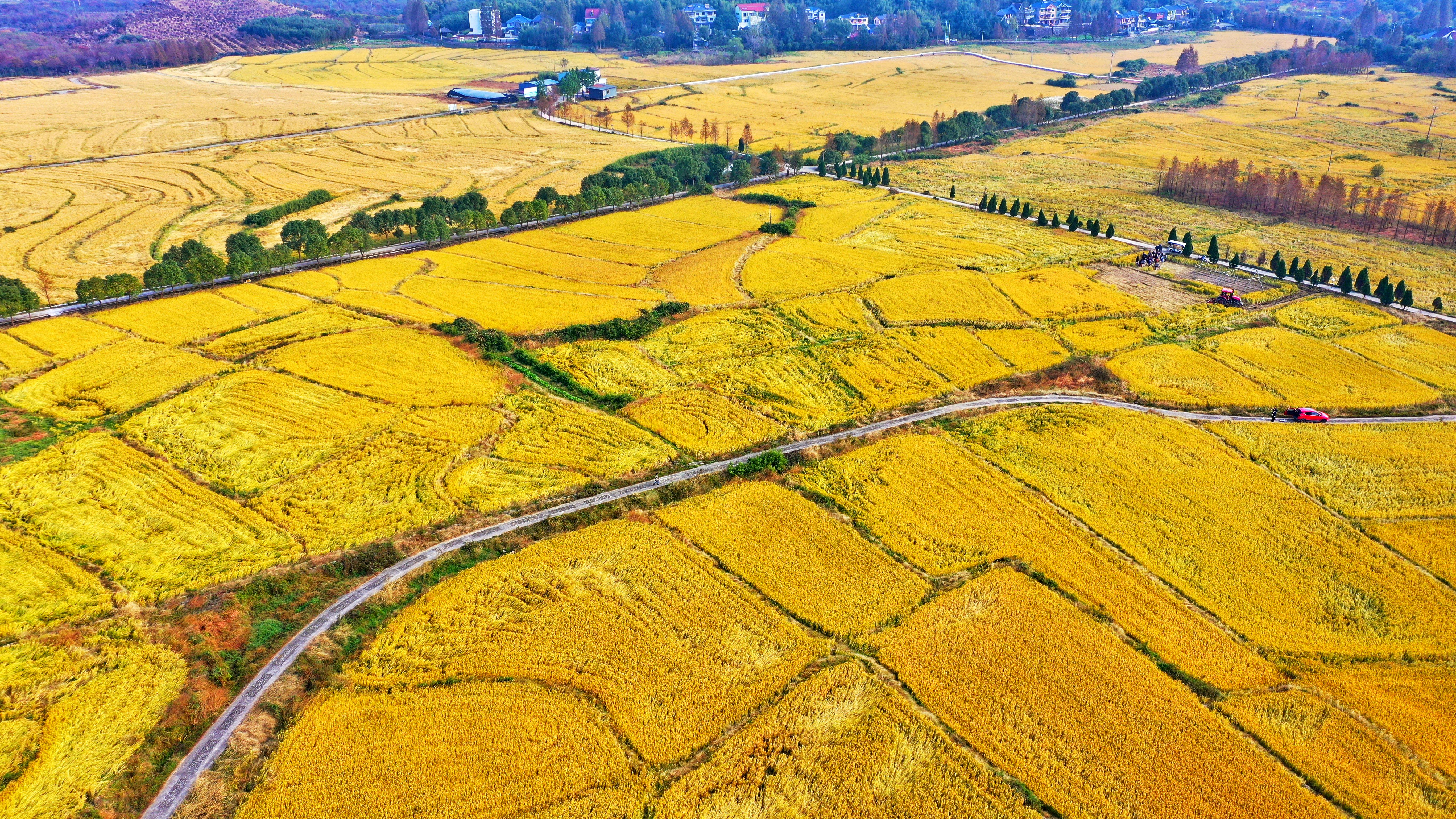 浙江湖州乡村秋色如画