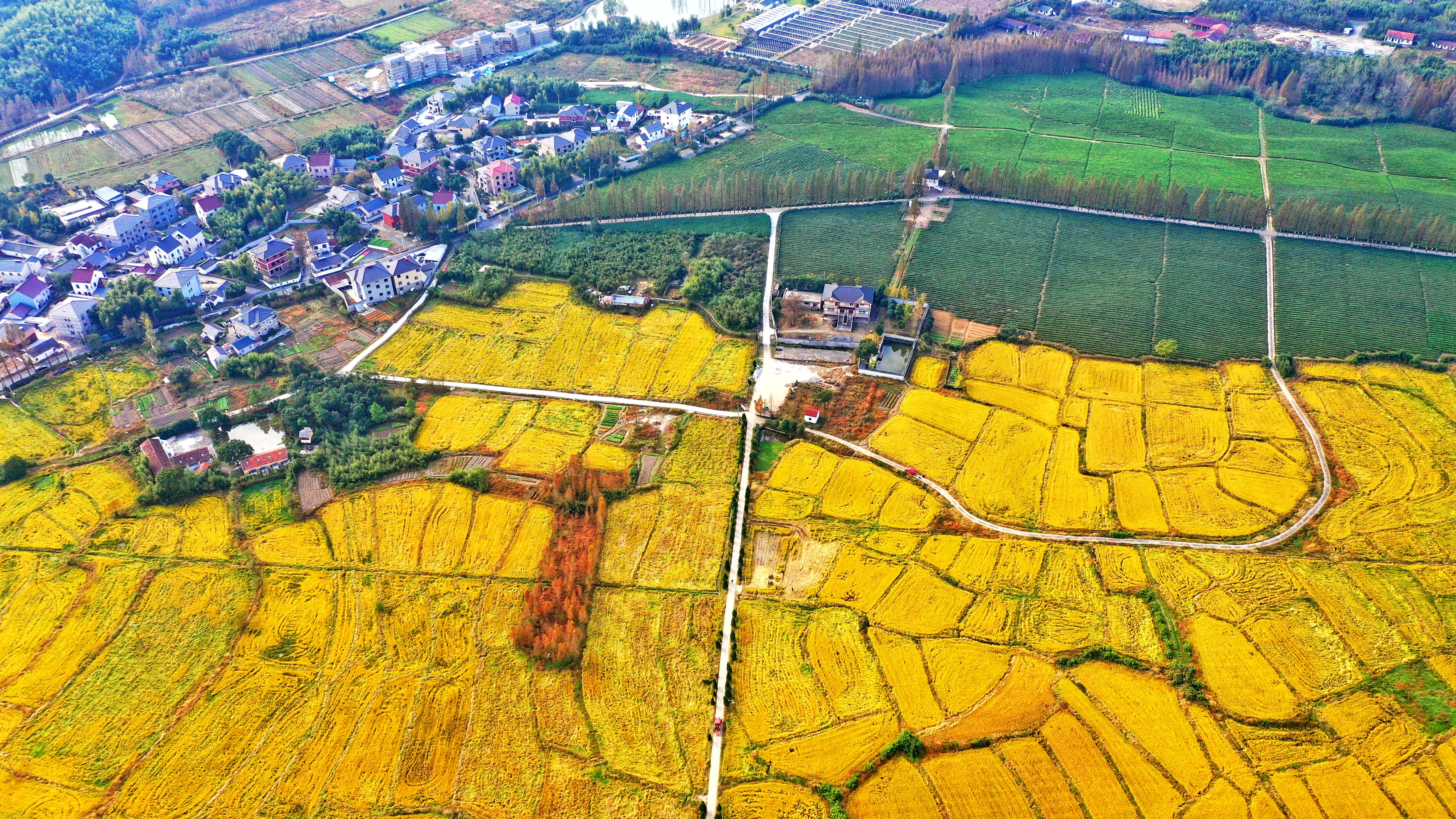 浙江湖州乡村秋色如画