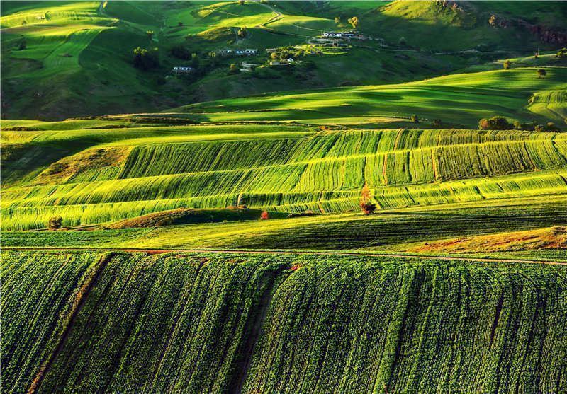 1636798258526054.jpg LOCAL202111131219000290168552525.jpg