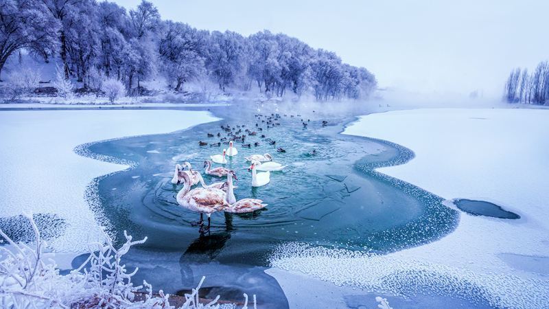 1636798389807261.jpg LOCAL202111131217000271886355382.jpg