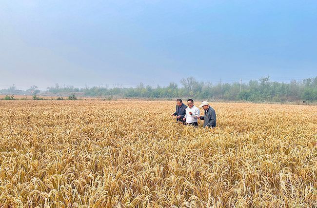 1636877769155215.jpeg nimg.ws.126.net.jpeg