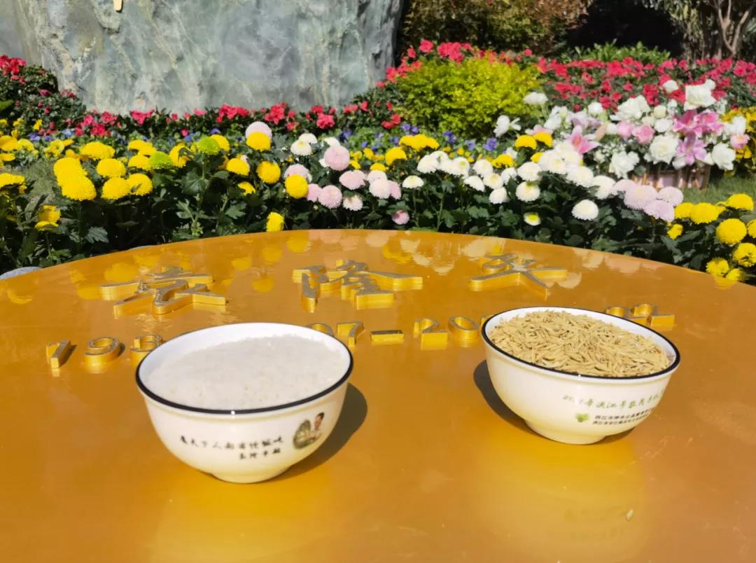 1636963513867228.jpg 微信图片_20211115160452.jpg