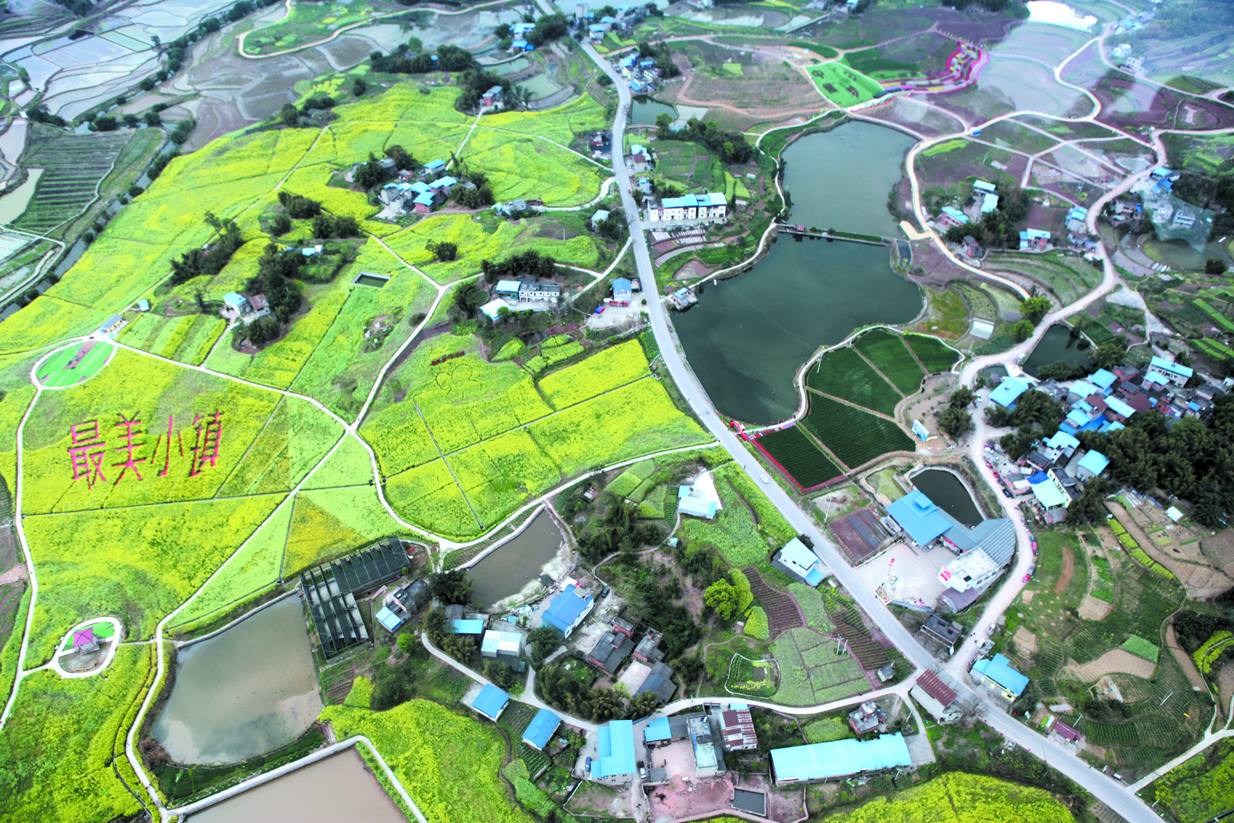 1637572793101438.jpg 3.jpg