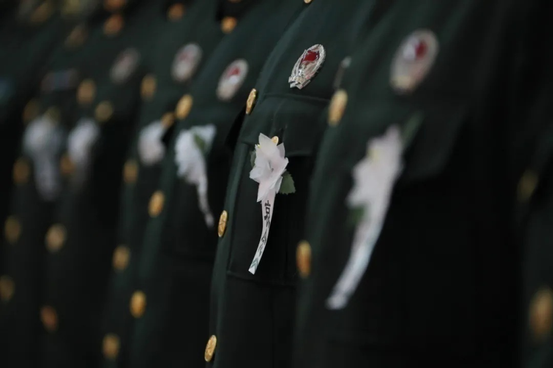 1637725202718957.jpeg 1.jpeg