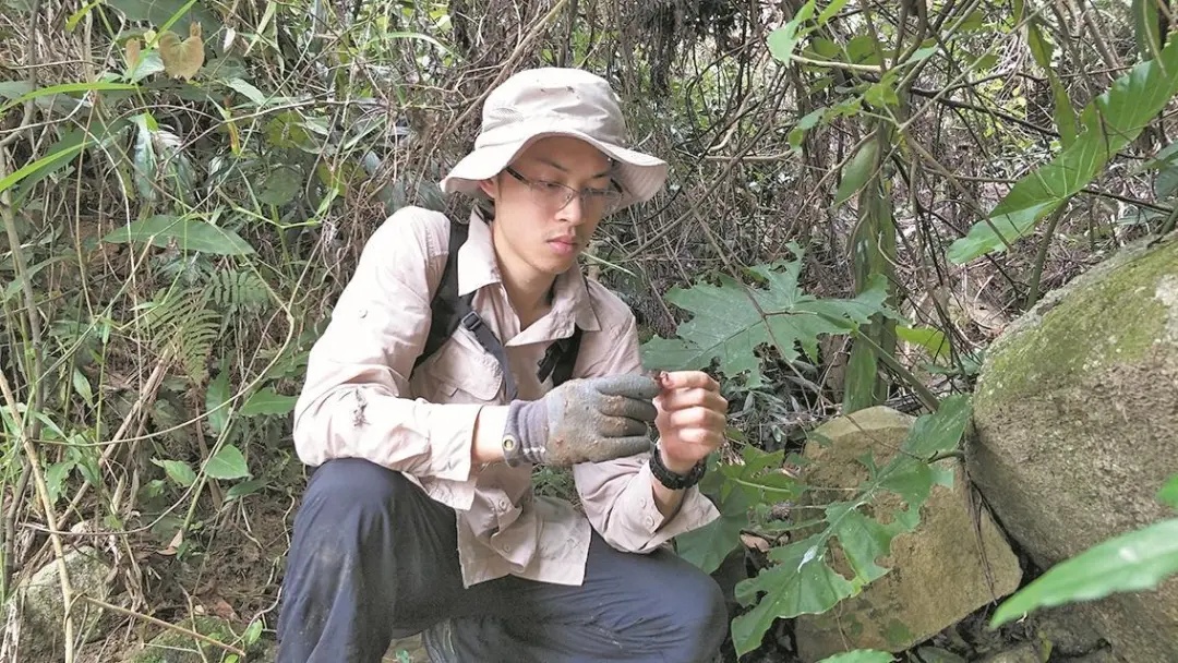 深圳|填补空白！90后博士发现新物种，以深圳命名