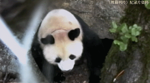 1638346190519952.gif 微信图片_20211201160931.gif