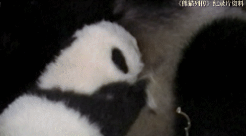 1638346201428377.gif 微信图片_20211201160935.gif