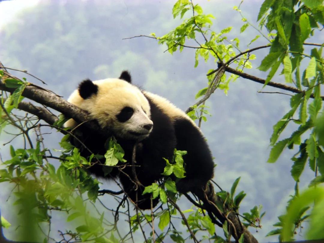 1638346300978424.jpg 微信图片_20211201161127.jpg