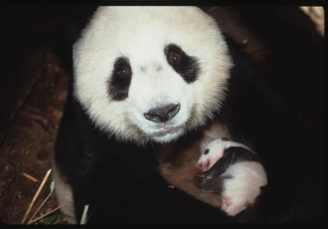 1638346304445949.jpg 微信图片_20211201161129.jpg