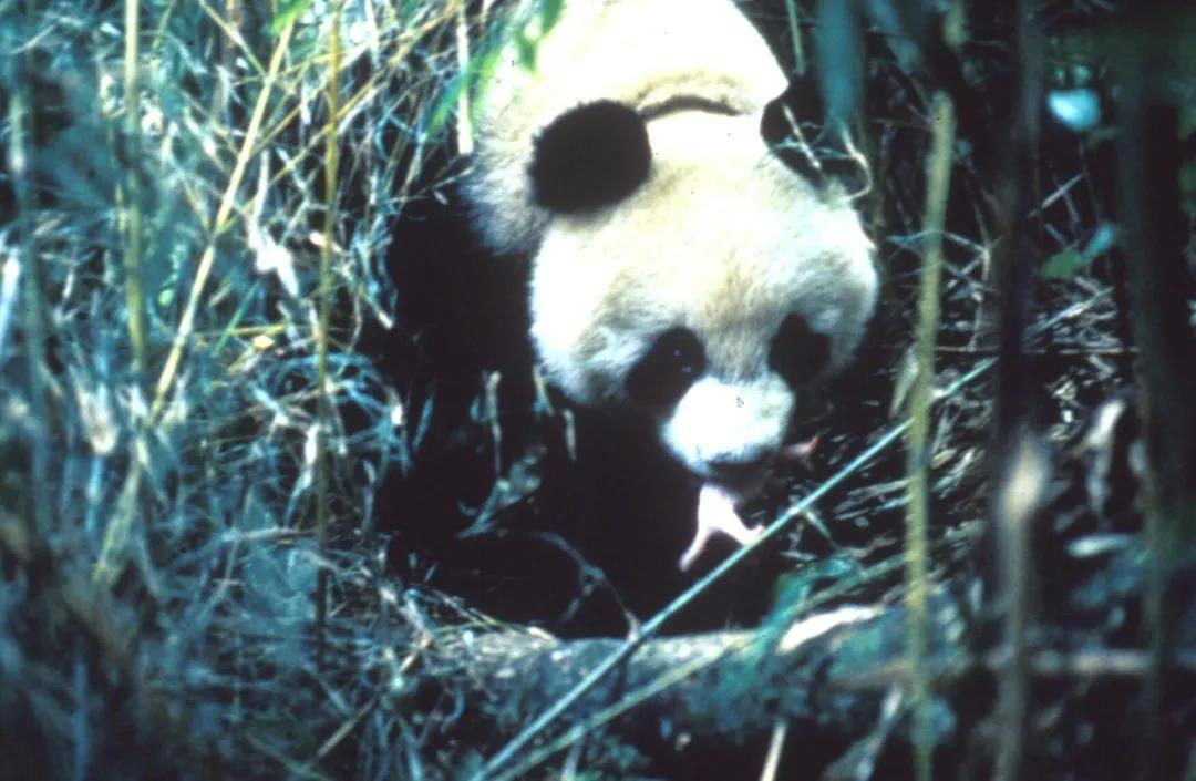 1638346309217361.jpg 微信图片_20211201161132.jpg