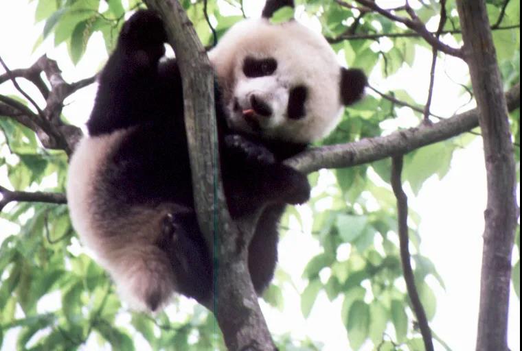 1638346313135454.jpg 微信图片_20211201161135.jpg