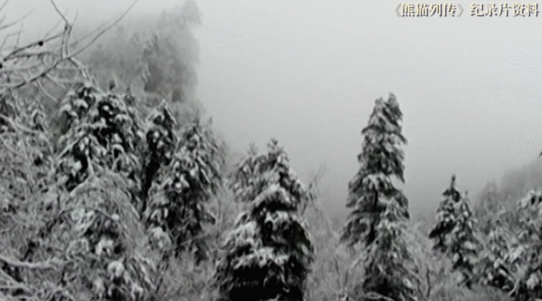 1638346384345386.gif 微信图片_20211201161242.gif